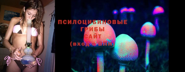 дмт Арсеньев
