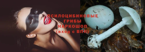 а пвп мука Армянск