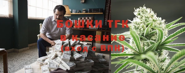 дмт Арсеньев