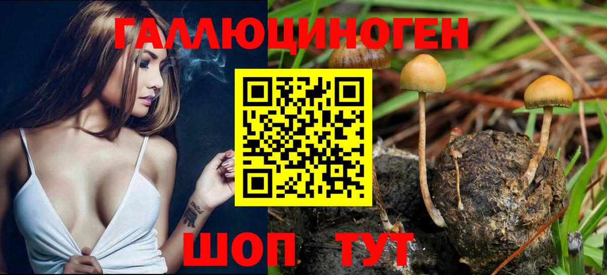 Псилоцибиновые грибы MAGIC MUSHROOMS Белогорск