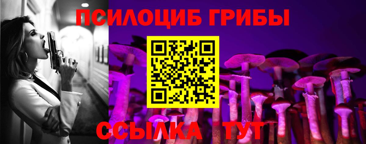 Псилоцибиновые грибы Magic Shrooms  Белогорск 